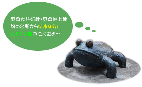 �J�G�������̃J�G�����F���}��䒬���E���}�r����@���̑�w����k���S���I�J�G�������̖ڂ̑O����I